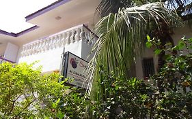 Sugar Plum Macedo Palms