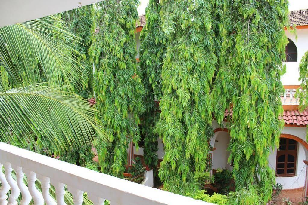 Sugar Plum Macedo Palms Bed & Breakfast Baga Exterior photo